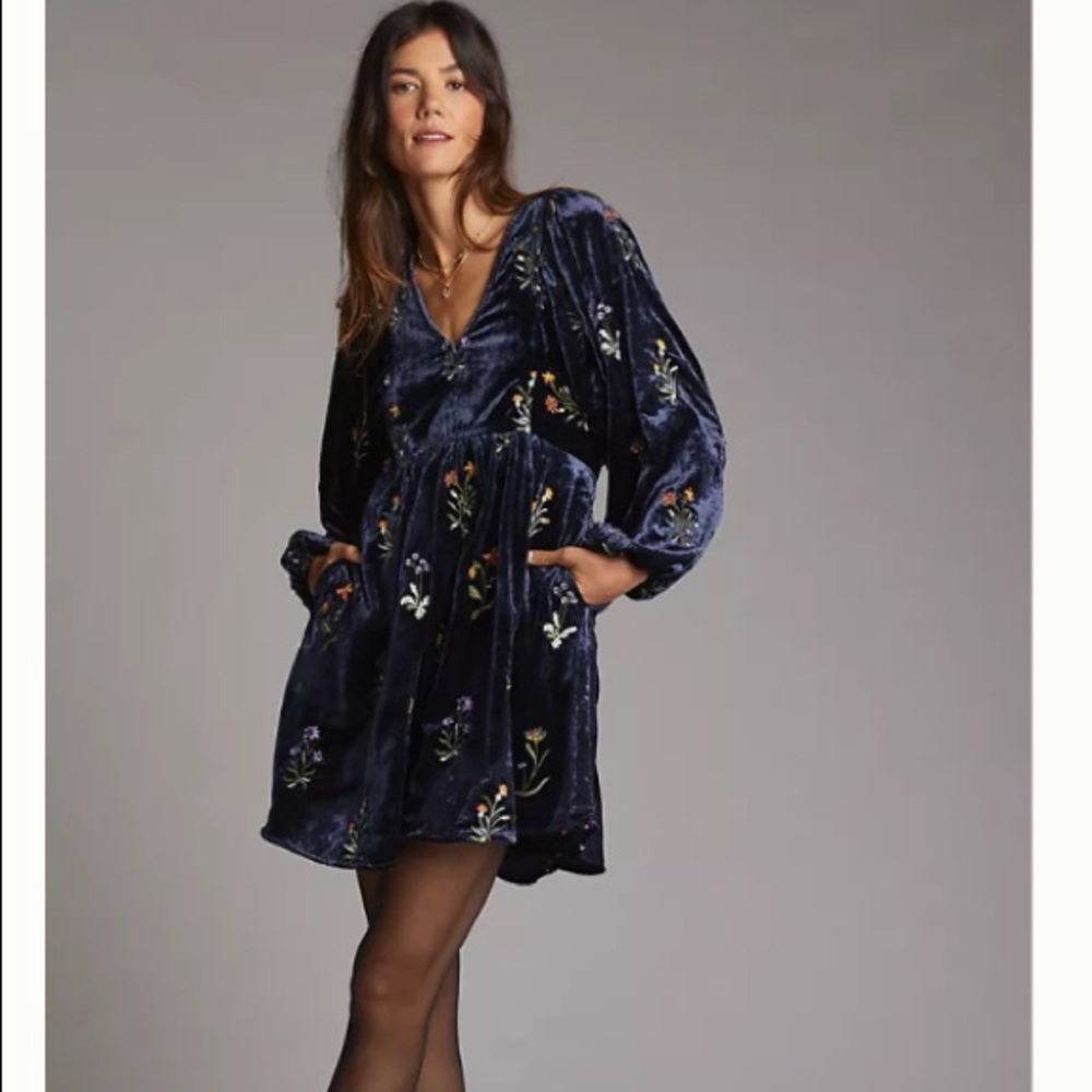 Anthropologie floral embroidered shimmer mini dress medium & large